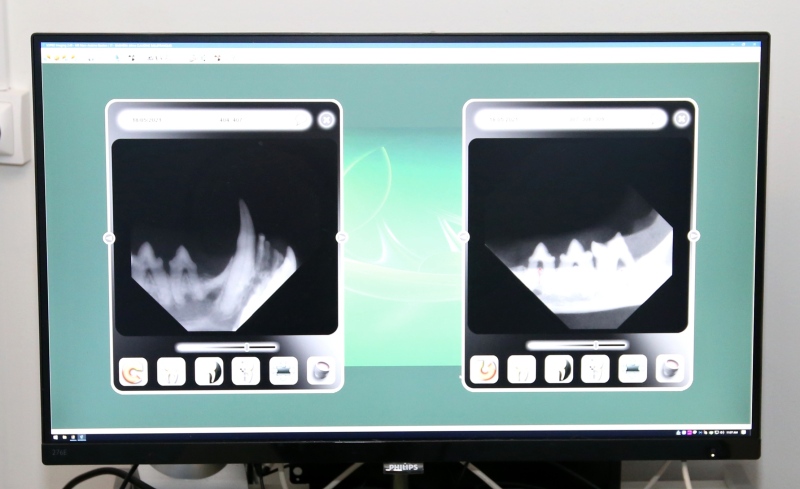 radiologie dentaire vétérinaire