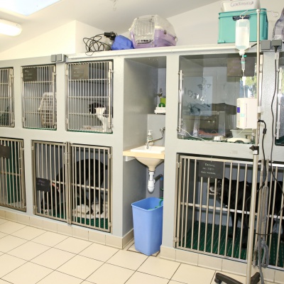 clinique vétérinaire Garochat Marmande