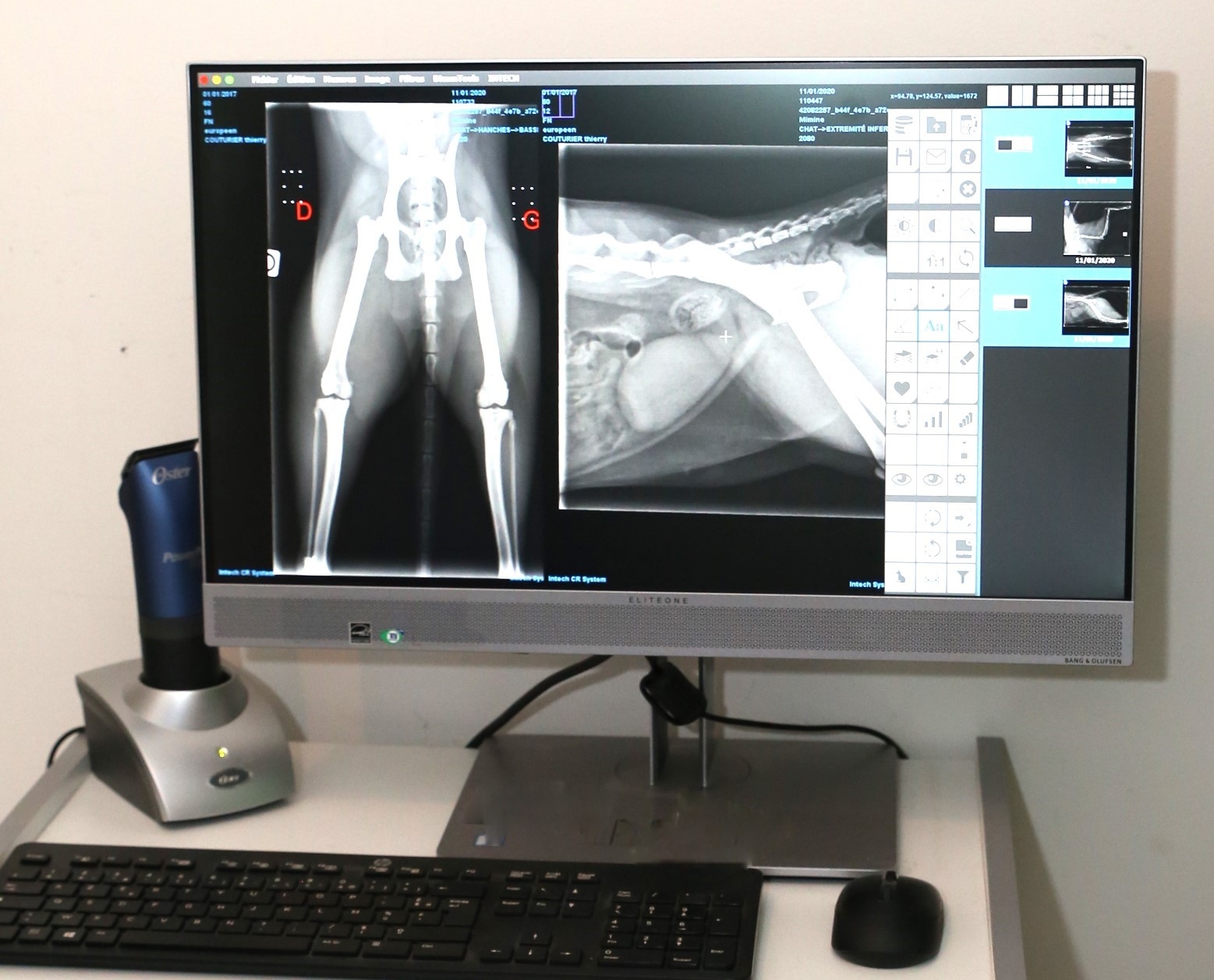radiographie vétérinaire